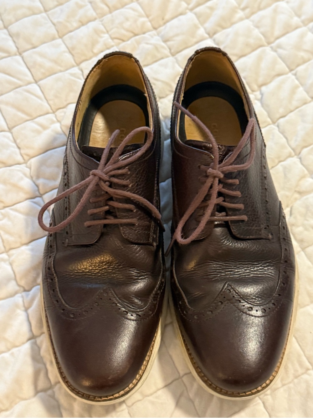 Cole Haan Men's Dark Brown Leather Wingtip Oxfords